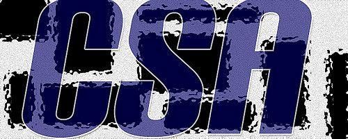 Bnan Logo - Bnan | IGOR LUCENA | Flickr