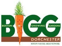 Bnan Logo - BNAN | MyDorchester