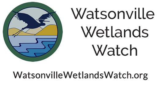 Watsonville Logo - Watsonville Wetlands Watch