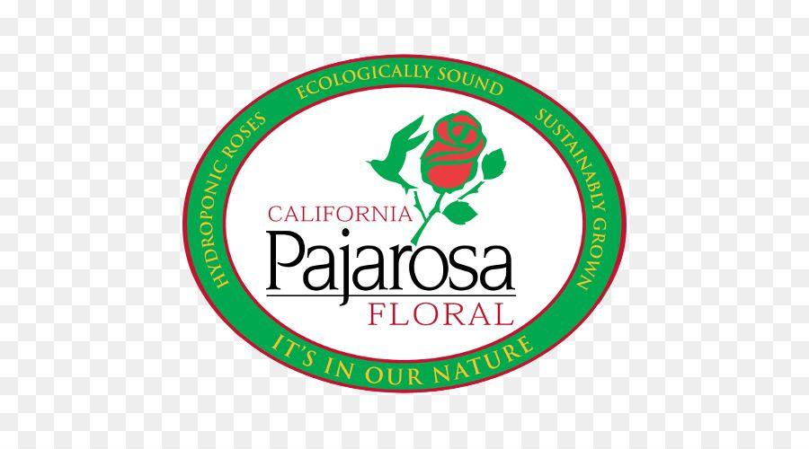 Watsonville Logo - California Pajarosa Bunga Monterey Bay Watsonville Logo - Hibrida ...