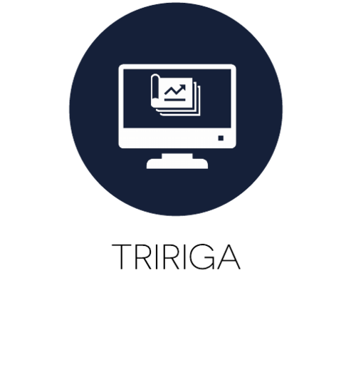 TRIRIGA Logo - Technology
