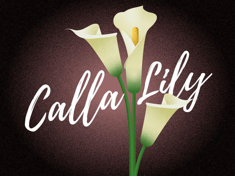 Callilly Logo - Calla Lily by John Medzerian | Dribbble | Dribbble