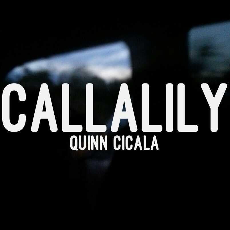 Callilly Logo - Callalily | Quinn Cicala