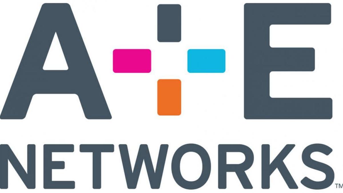 AETV Logo - A&E Orders Four Non-Fiction Series - Broadcasting & Cable