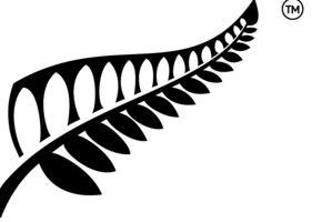 Fern Logo - Social media backlash over silver fern logo. Otago Daily Times