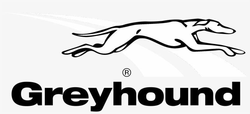 Greyhound Logo - Greyhound Logo Black And White Canada PNG Image