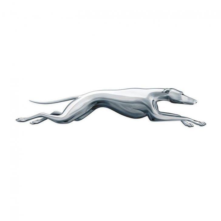 Greyhound Logo - Greyhound Logo Design