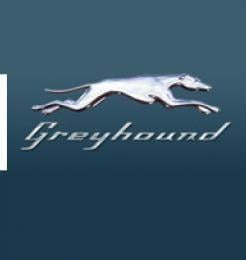 Greyhound Logo - HCK2. Greyhound Online Banner Campaigns