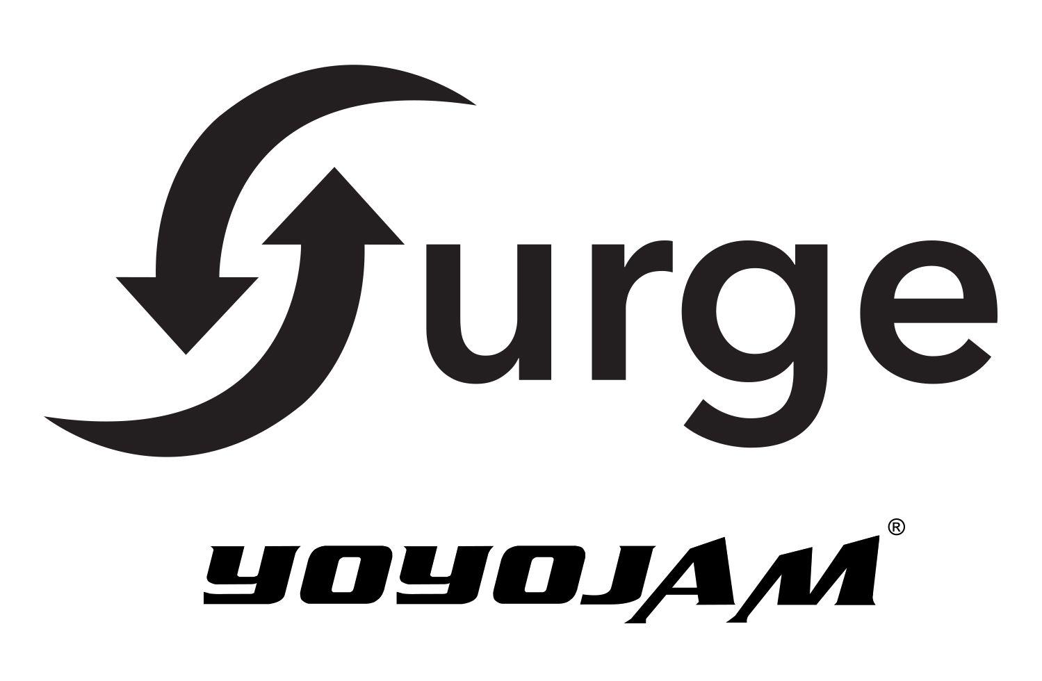 YoYoExpert Logo - YoYoExpert Blog & Yo-Yo News – Surge Video Contest – YoYoExpert x ...