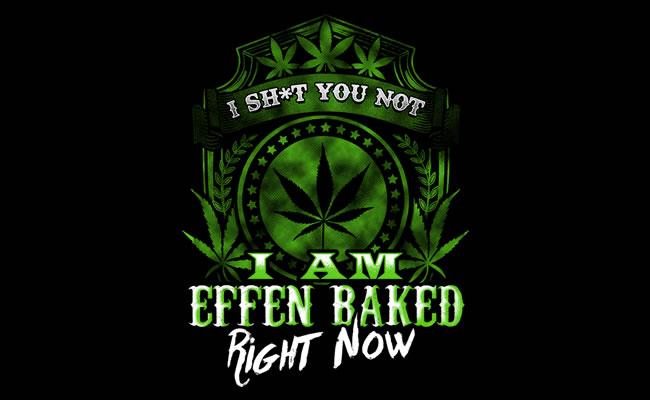 Effen Logo - EFFEN BAKED - Women's Collection Archives - Wasted Rabbit