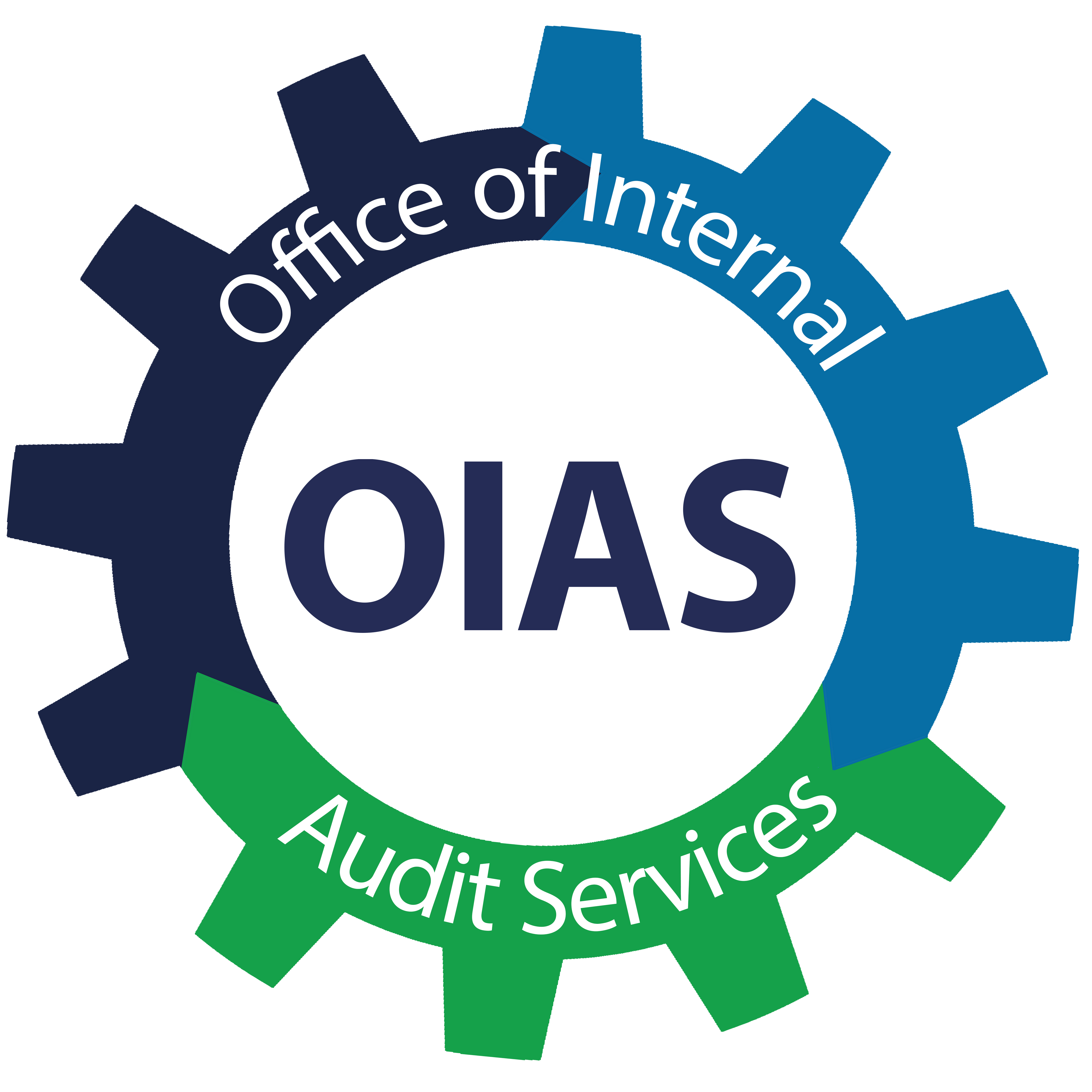 Auditing Logo - OPT - Office of Internal Audit Services