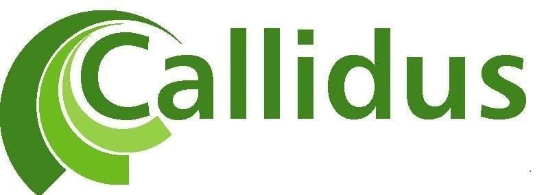 Callidus Logo - Welcome to Callidus Solutions Limited