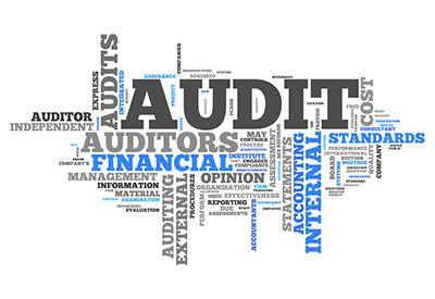 Auditing Logo - Hire an Auditing Firm in Singapore Consulting Pte Ltd