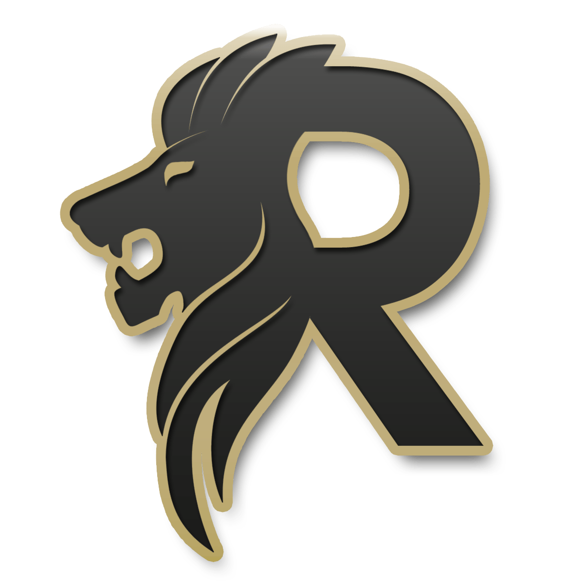 R modern app logo by Rony Pa - Logo Designer 🔵 on Dribbble