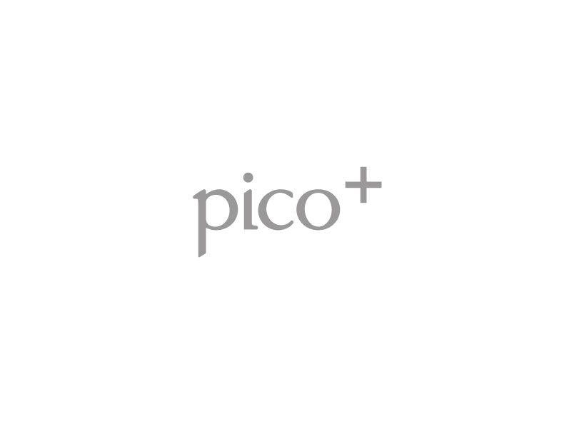 PUCO Logo - Brand Activation | Event Marketing | Pico