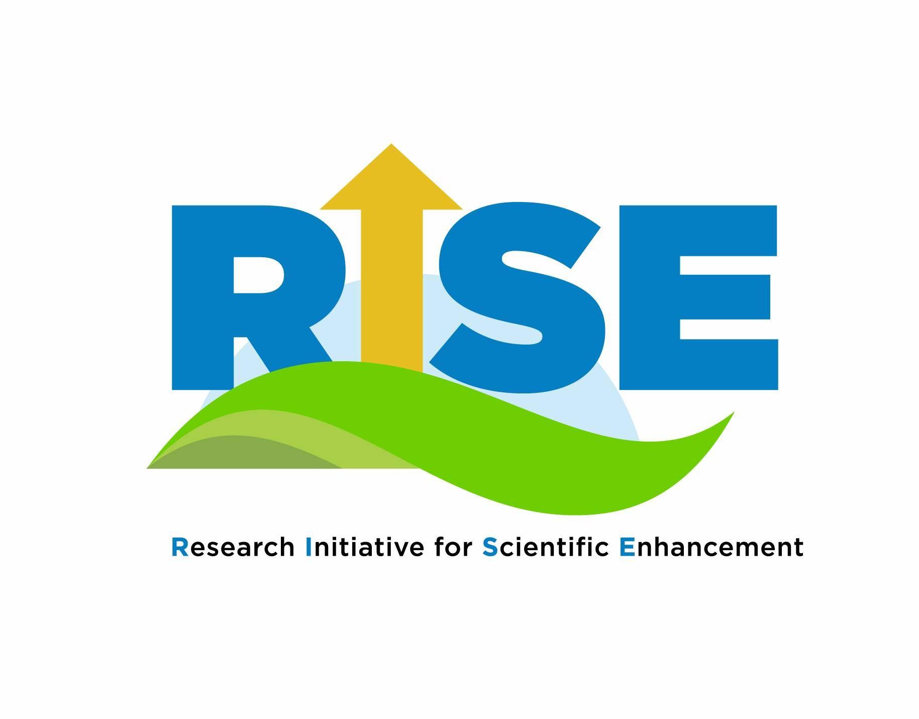 Rise Logo - The Meharry RISE Initiative