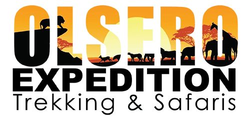 Expedition Logo - Olsero Expedition