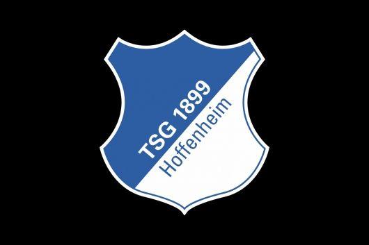 Hoffenheim Logo - 1899 Hoffenheim Logo – LogoMagz.com