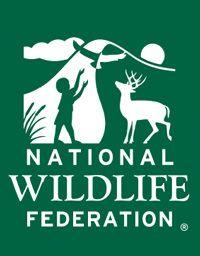 NWF Logo - NWF-logo - BirdWatching