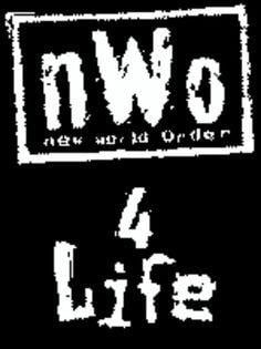 NWO Logo - NWO, My Favorite Fraction In Wrestling Histiory. Wrestling Current