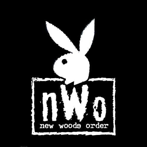 NWO Logo - Nwo