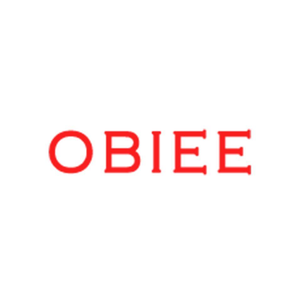 OBIEE Logo - OBIEE Training in Chennai Training & Consulting Partner