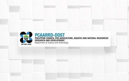 Dost Logo - pcaarrd-dost-logo | PTV News
