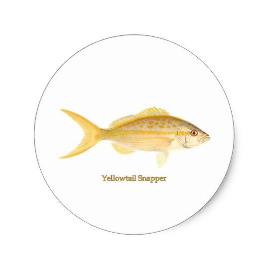 Snapper Logo - Yellowtail Snapper Logo Classic Round Sticker | Zazzle.com
