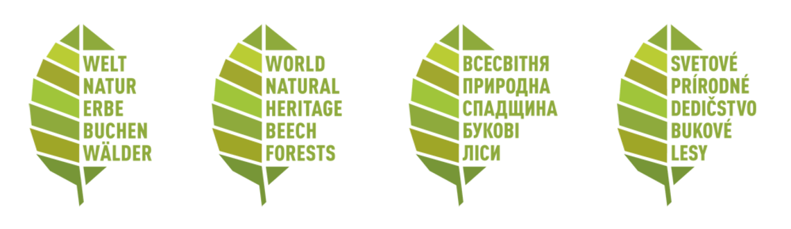 Beech Logo - Weltnaturerbe Buchenwälder: Showcasing World Heritage European Beech