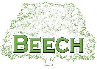 Beech Logo - Beech Publishing - Creators of GodVenture