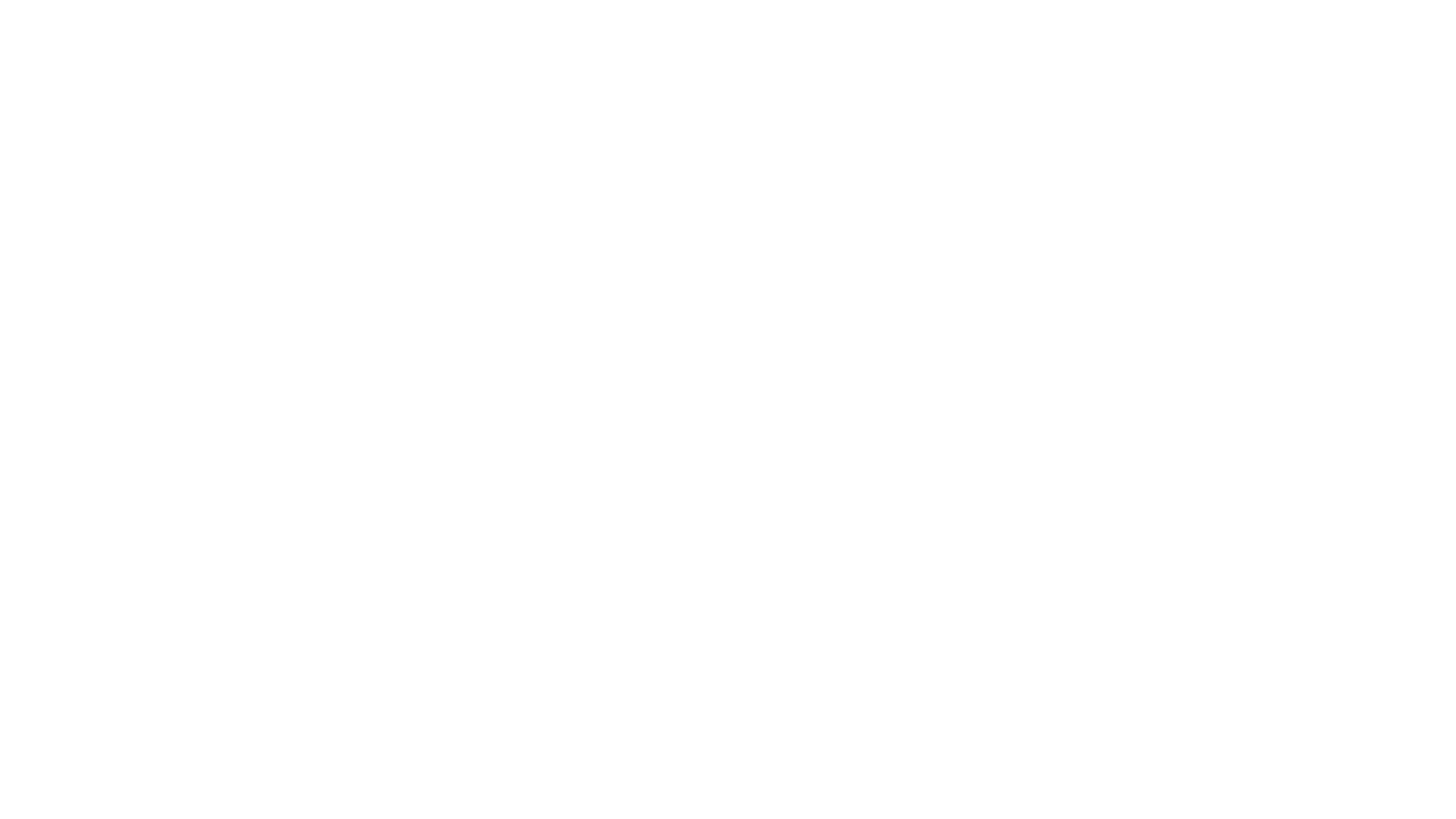 Nav Logo - NAV
