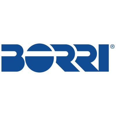 Borri Logo - Logo-Borri | Vanilla Telecoms