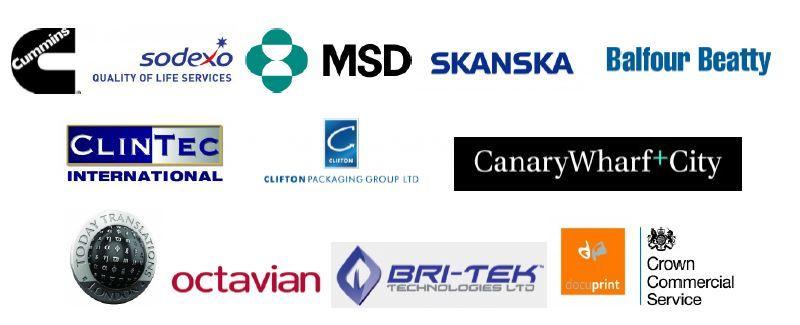 Skanska Logo - Announcing the MSDUK Awards Finalists 2016. Driving Inclusive