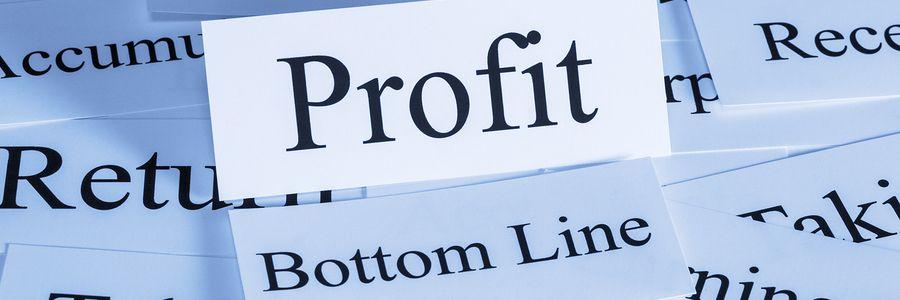 LivePlan Logo - What Is Net Profit? | LivePlan Blog