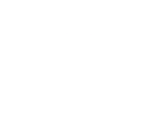 MTB Logo - MTB TRIBE – Your trail map for the world of mountain biking