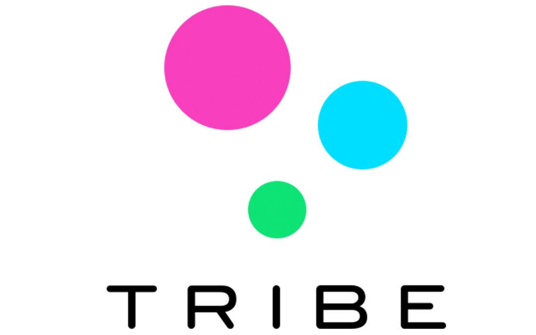 Influencer Logo - Micro-Influencer Content: Tribe's Founder Explains at CMA Digital ...