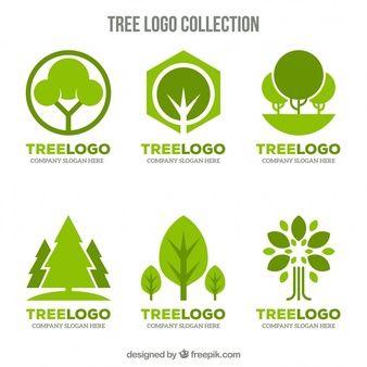 Leave Logo - Green leave logo template PSD file