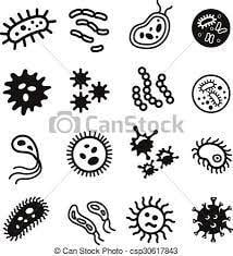 Bacteria Logo - Best Bacteria image. Ap biology, Biology, Diagram