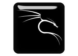 Backtrack Logo - Backtrack Linux Dragon 1x1 Chrome Domed Case Badge / Sticker Logo