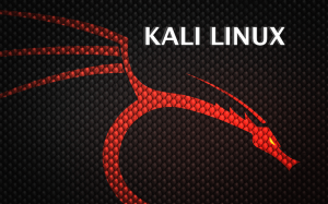 Backtrack Logo - Backtrack to be Reborn as Kali Linux