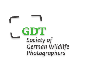 GDT Logo - Gesellschaft Deutscher Tierfotografen e.V.