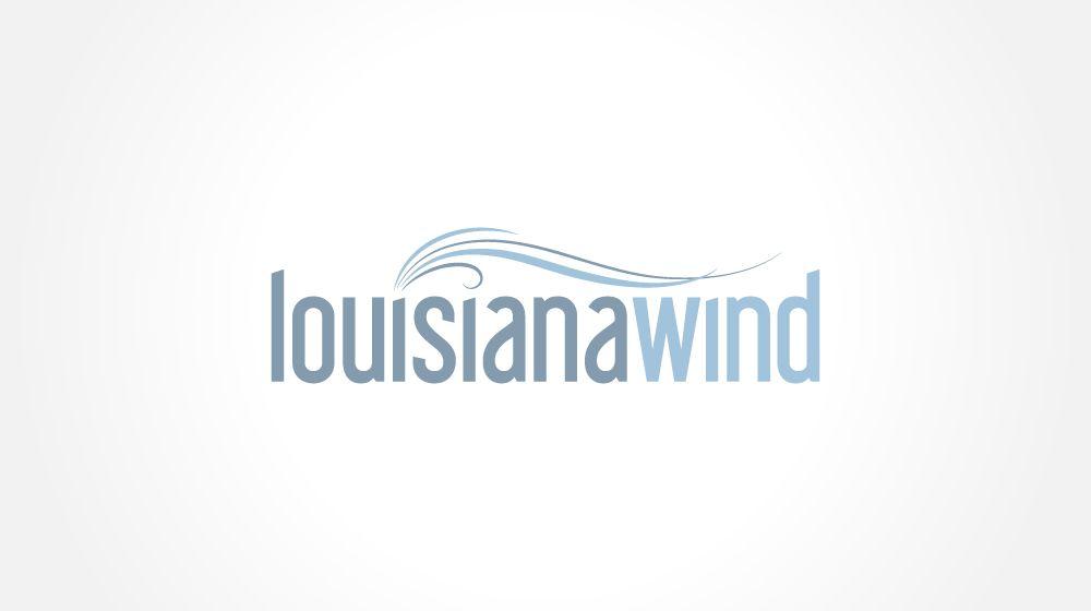 Wind Logo - wind logo design custom logo designs business card designs graphic ...