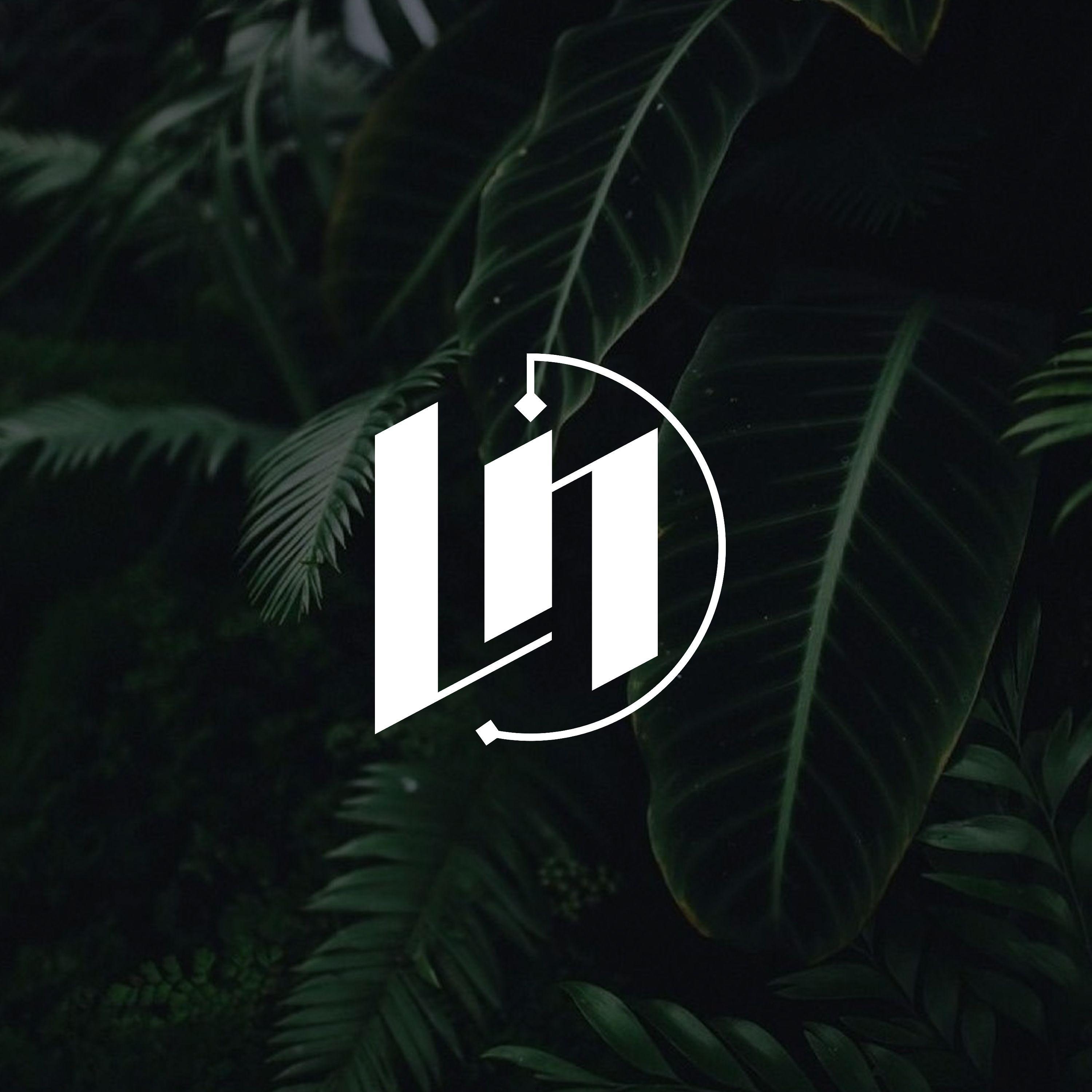Ln Logo - LN logo design Check for more! #logo #design #graphicdesign