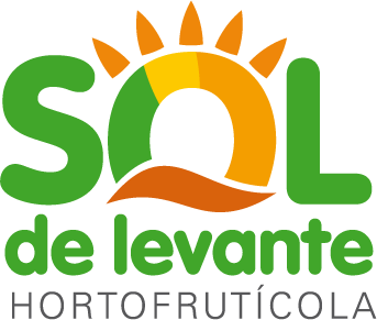 Sol Logo - Sol de Levante – Producción de productos hortofrutícolas