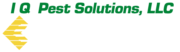 Pest Logo - IQ Pest Solutions. Commercial & Residential