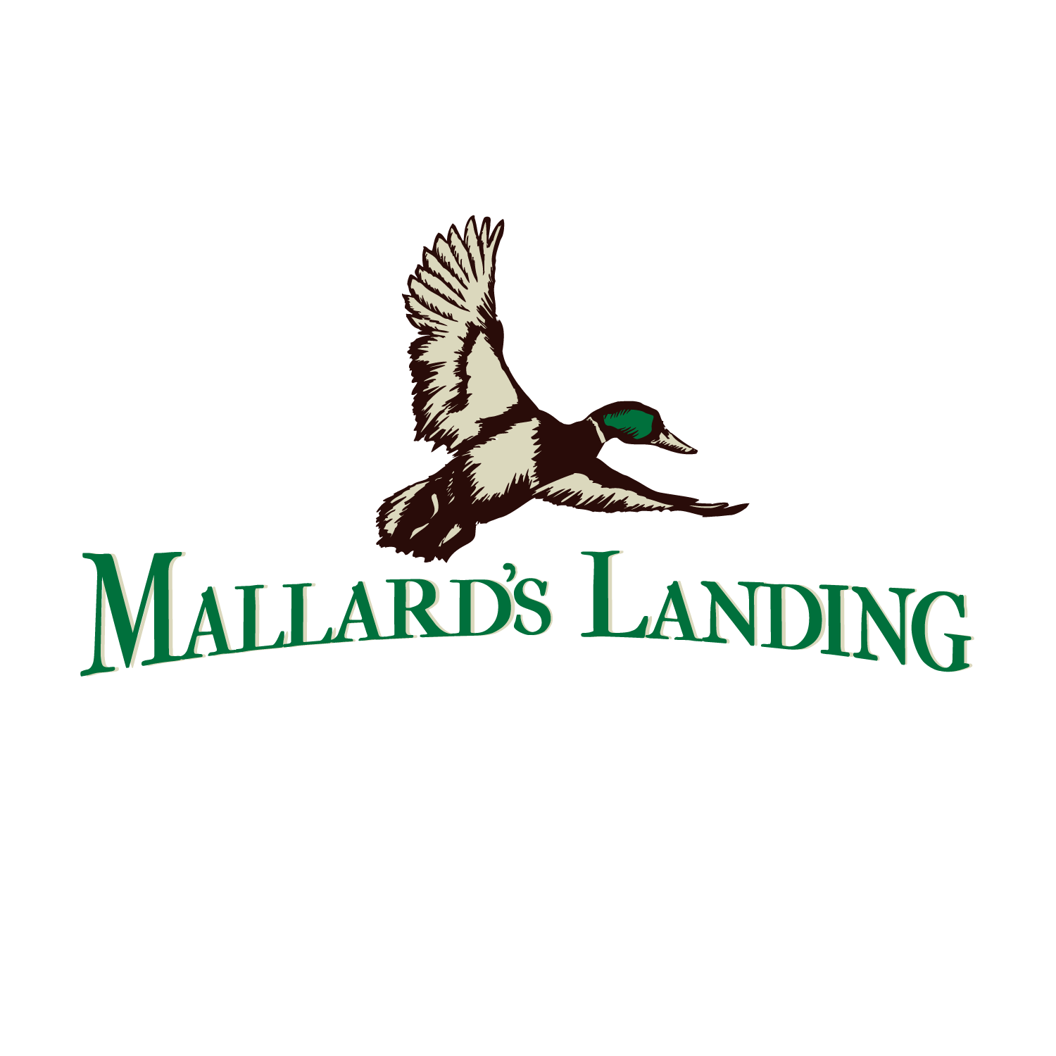 Mallard Logo - Mallard's Landing