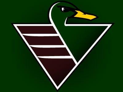 Mallard Logo - Dallas Lady Mallards Concept Logo by Spencer Rudy | Dribbble | Dribbble