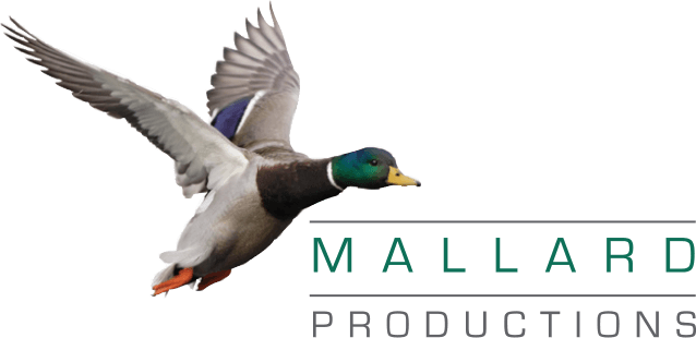 Mallard Logo - Video Production Glasgow, Scotland