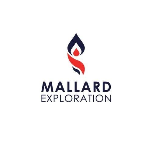 Mallard Logo - Oil & Gas Startup logo design!. Logo design contest