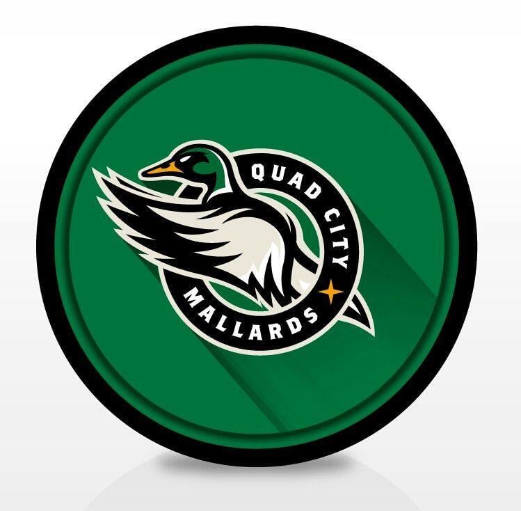 Mallard Logo - ECHL Quad City Mallards Puck. Team Logos. Logo design, Logos